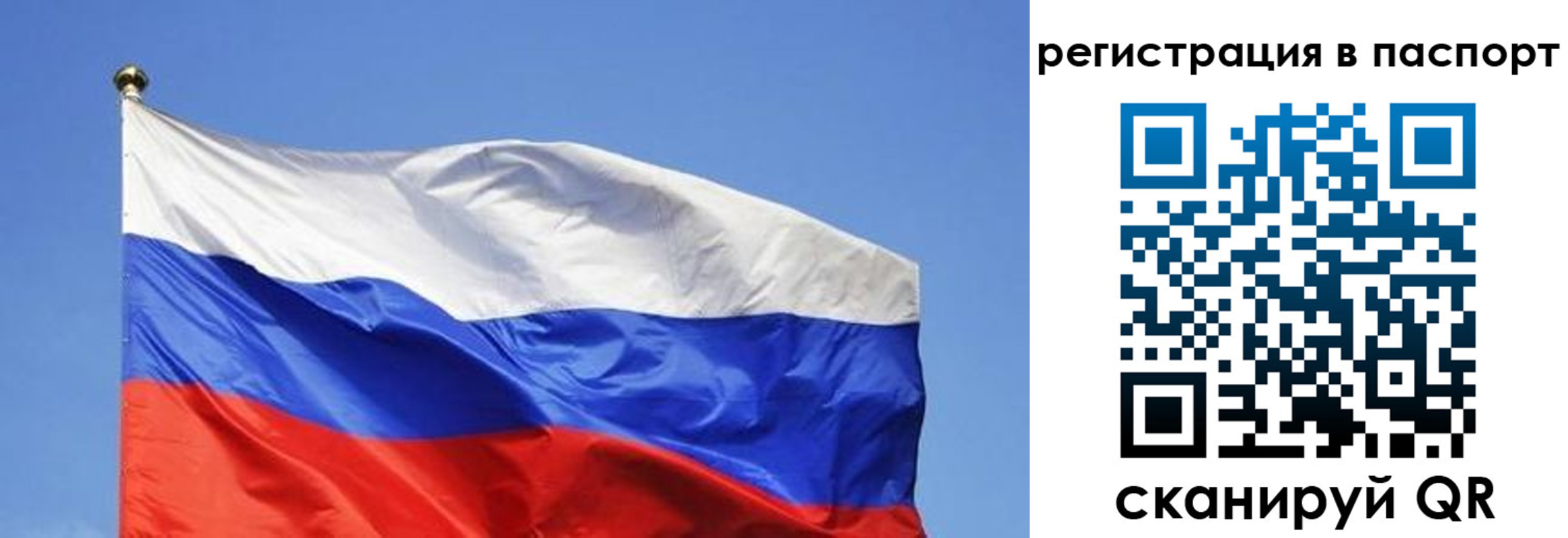 прописка в квартире в Старом Осколе